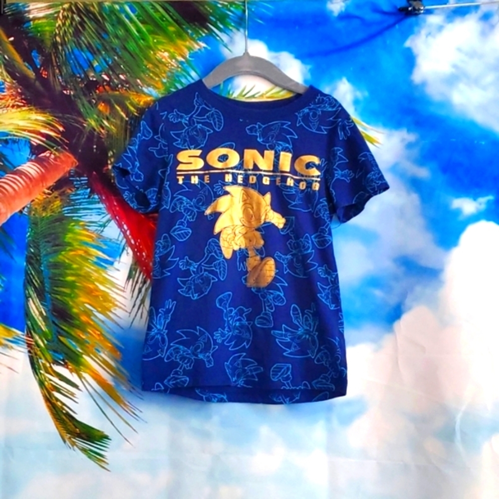 KIDS hedgehog Tshirt size 4
